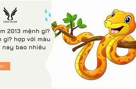 Năm Nay 45 Tuổi Là Tuổi Gì