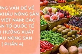 Những Loại Nông Sản Xuất Khẩu Ở Việt Nam Là Gì Ạ Tiếng Anh Là