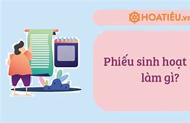 Phiếu Sinh Hoạt Hè Là Gì