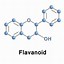 Thực Tập Dược Liệu Chứa Flavonoid